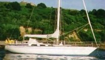 swan 38